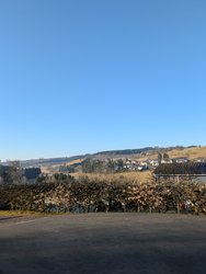 PXL_20250306_075500790.MP.jpg