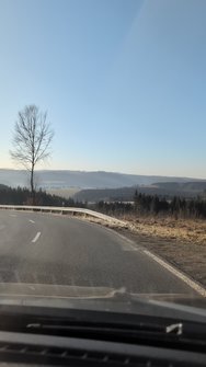 PXL_20250306_075720006.jpg