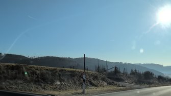 PXL_20250306_075759231.jpg