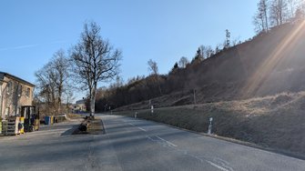 PXL_20250306_141345659.jpg