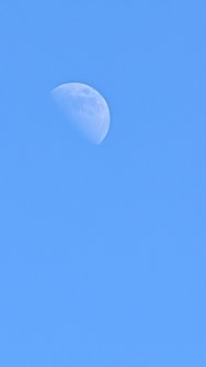 PXL_20250307_120852345.jpg