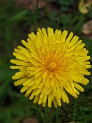 IMG_20250307_164835.jpg