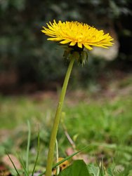IMG_20250307_164915.jpg