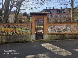 20250307_113705.jpg