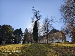 IMG_20250307_114058.jpg
