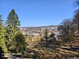 IMG_20250307_114821.jpg