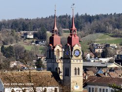 IMG_20250307_114836.jpg
