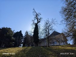 IMG_20250307_114120.jpg
