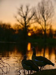 IMG_20250307_180201.jpg