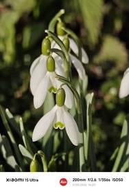 IMG_20250307_163047.jpg