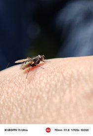 IMG_20250307_160851.jpg