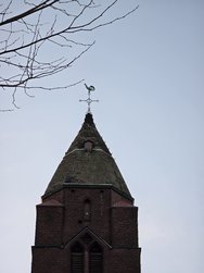 20250307_180930.jpg