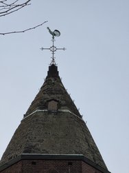 20250307_180932.jpg