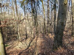 IMG_20250307_133032612_HDR.jpg