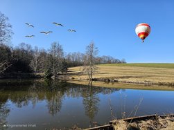Ballon.jpg