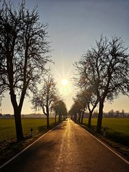 IMG_20250201_170309.jpg