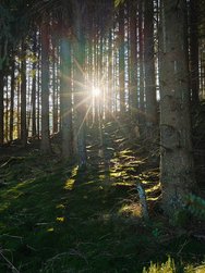 IMG_20241228_191729.jpg