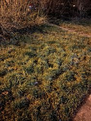 IP13M_Nacht (2).JPG