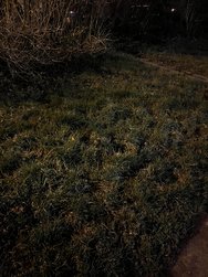 IP13M_Ohne (2).JPG