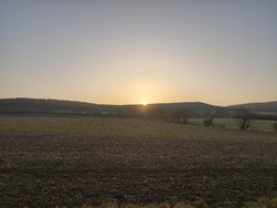 IMG_20250308_073559.jpg