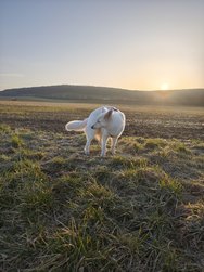 IMG_20250308_073749.jpg