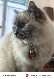 IMG_20250308_095735.jpg