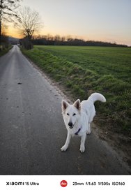 IMG_20250308_100018.jpg