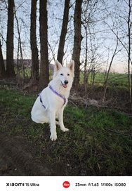 IMG_20250308_100041.jpg