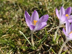 IMG20250308105411.jpg