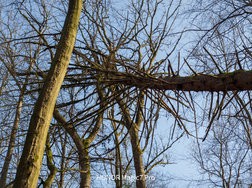20250308_131941.jpg
