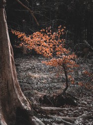 20250308_132128 (1).jpg