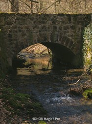 20250308_132451.jpg