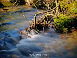 IMG_20250308_132638.jpg