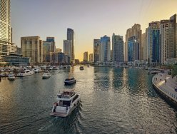 20250307_173545 (1).JPG