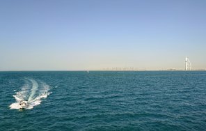 20250307_161634.JPG