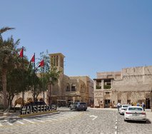20250307_122345.JPG