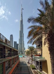 20250306_134324.JPG