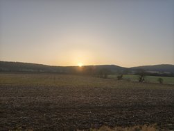 IMG_20250308_073411.jpg
