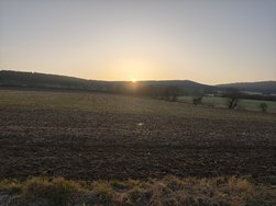 IMG_20250308_073403.jpg