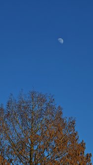 1736609339361.jpg
