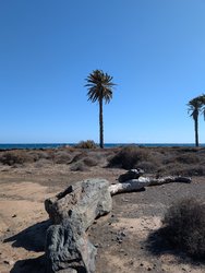 PXL_20250307_154815216.jpg