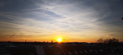 IMG_20250303_174611.jpg