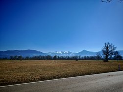 IMG_20250308_125227.jpg