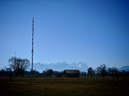 IMG_20250308_125311.jpg