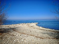 IMG_20250308_133559.jpg