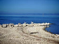 IMG_20250308_133606.jpg