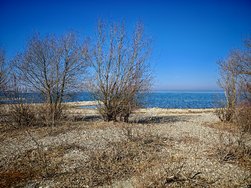 IMG_20250308_134036.jpg