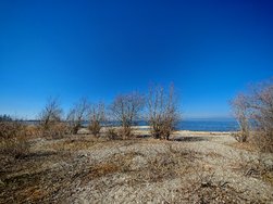 IMG_20250308_134106.jpg