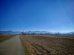IMG_20250308_140936.jpg