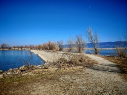 IMG_20250308_143448.jpg